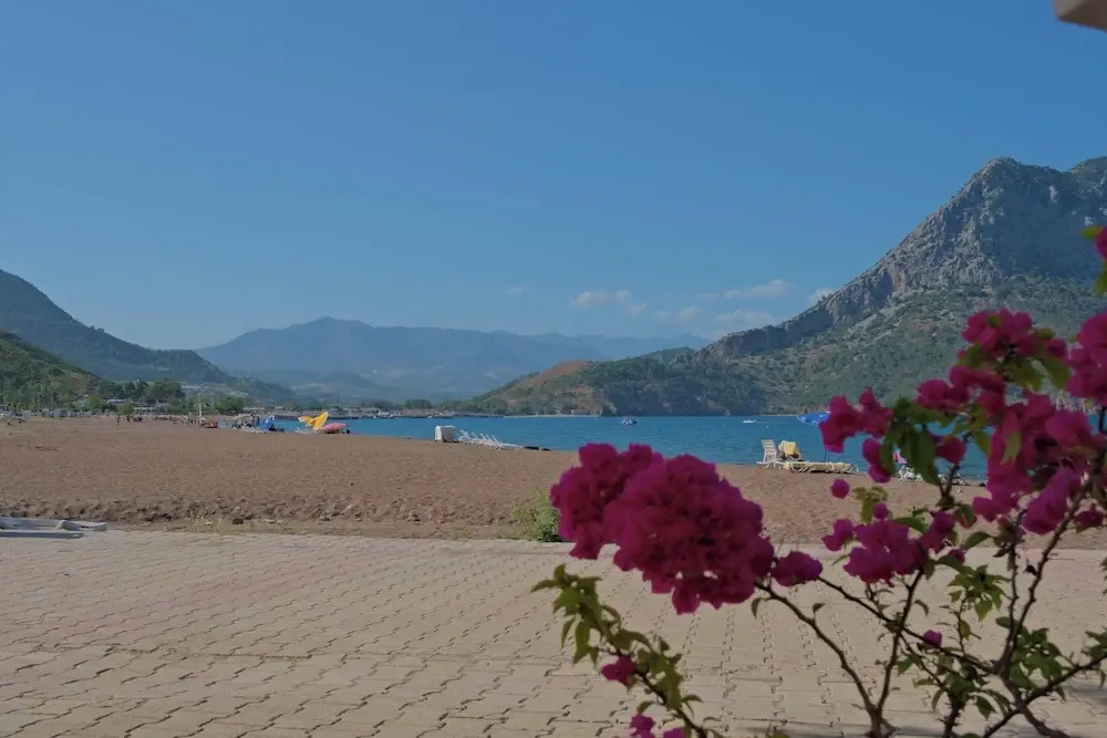 Beach & Waterfront