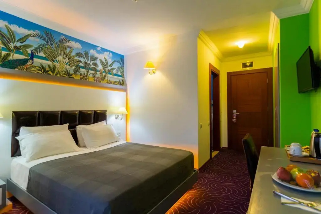 Standard Double room (full double bed)