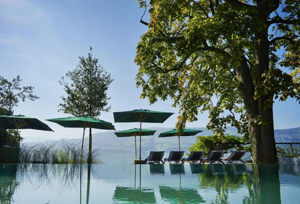 Seerose Resort & Spa - Général