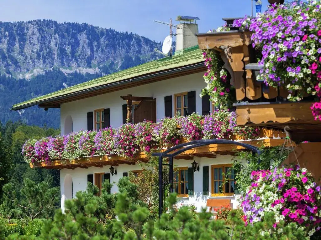 Pension Loiplstüberl - Chambres