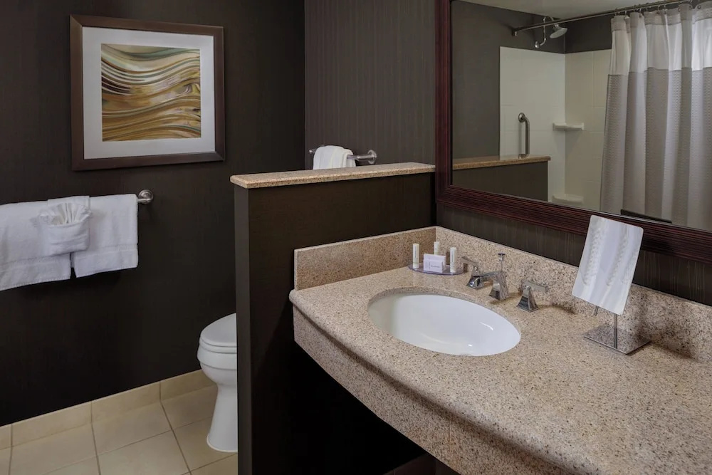 Courtyard by Marriott Houston Medical Center/NRG Park - Chambres