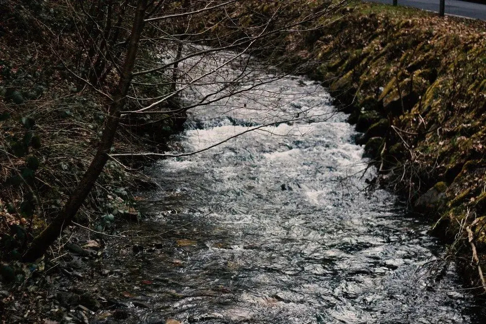 Acron Traben-Trarbach