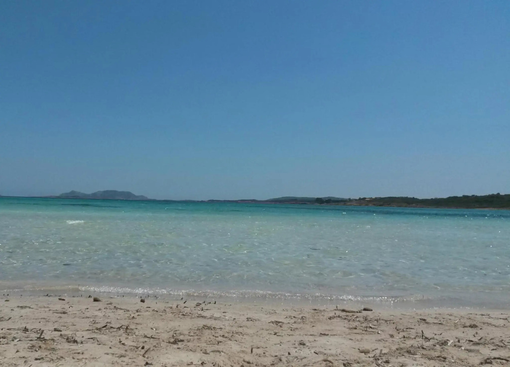 Hotel Piccada - фото 21