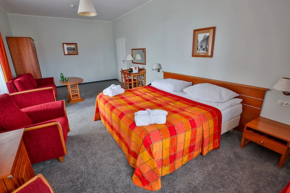 LH Hotel Dvorak Tabor - Chambres