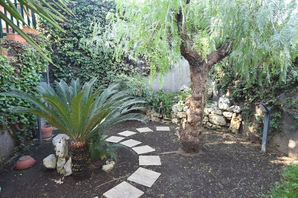 Image 11