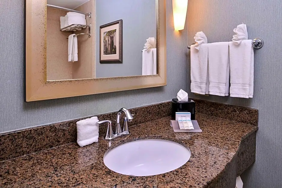 Hilton Garden Inn Jacksonville Downtown Southbank - Chambres
