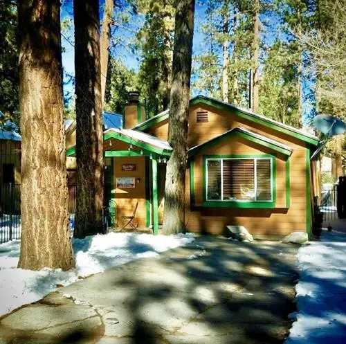 Peaceful Pines