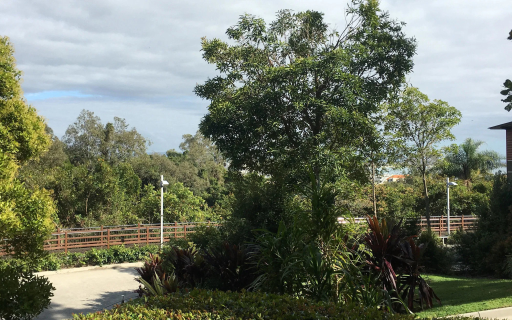 Noosa Residences - Général