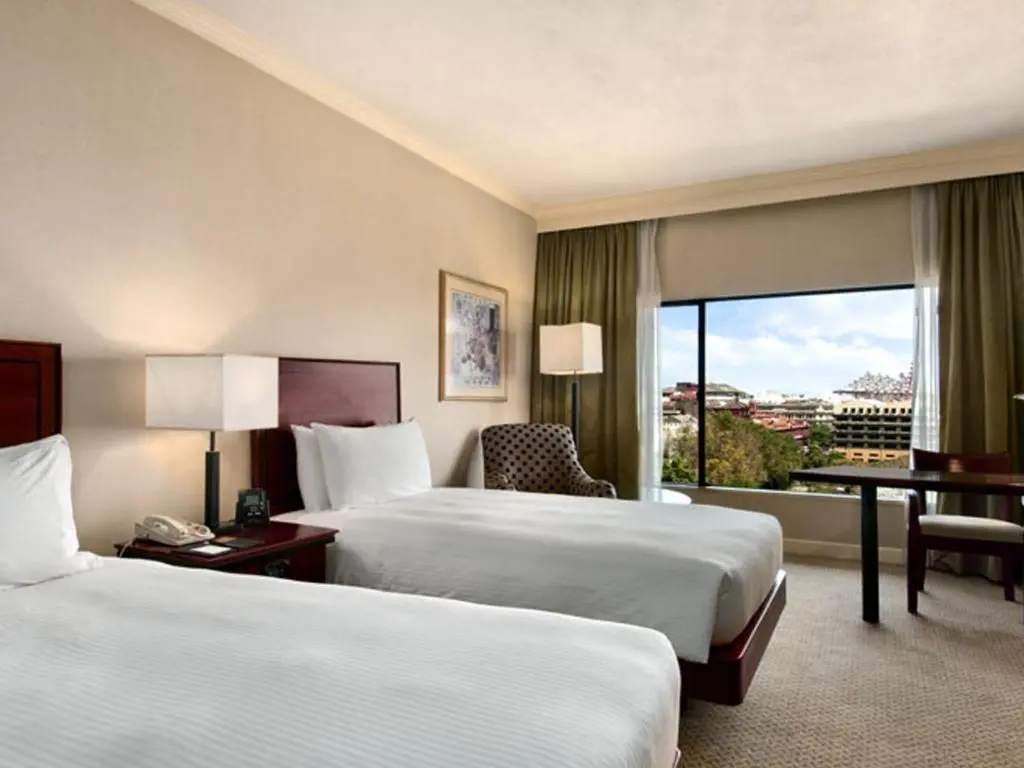 Deluxe Double room (twin beds)