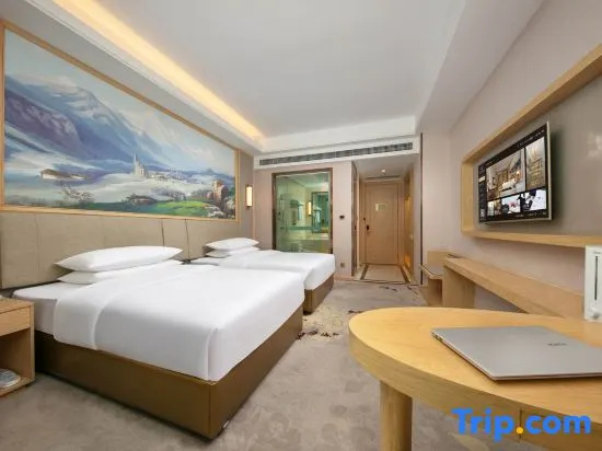 Vienna International Hotel Lhasa Potala Palace Branch - Chambres