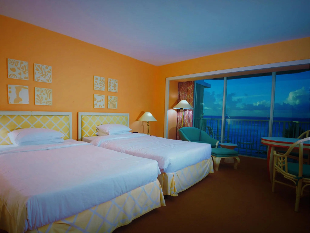 Deluxe Double room (full double bed)