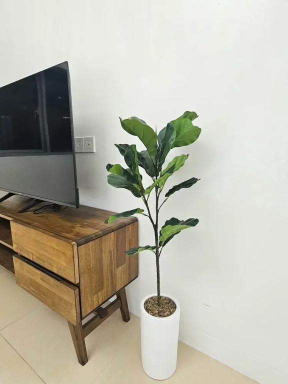 Hotel photo 35