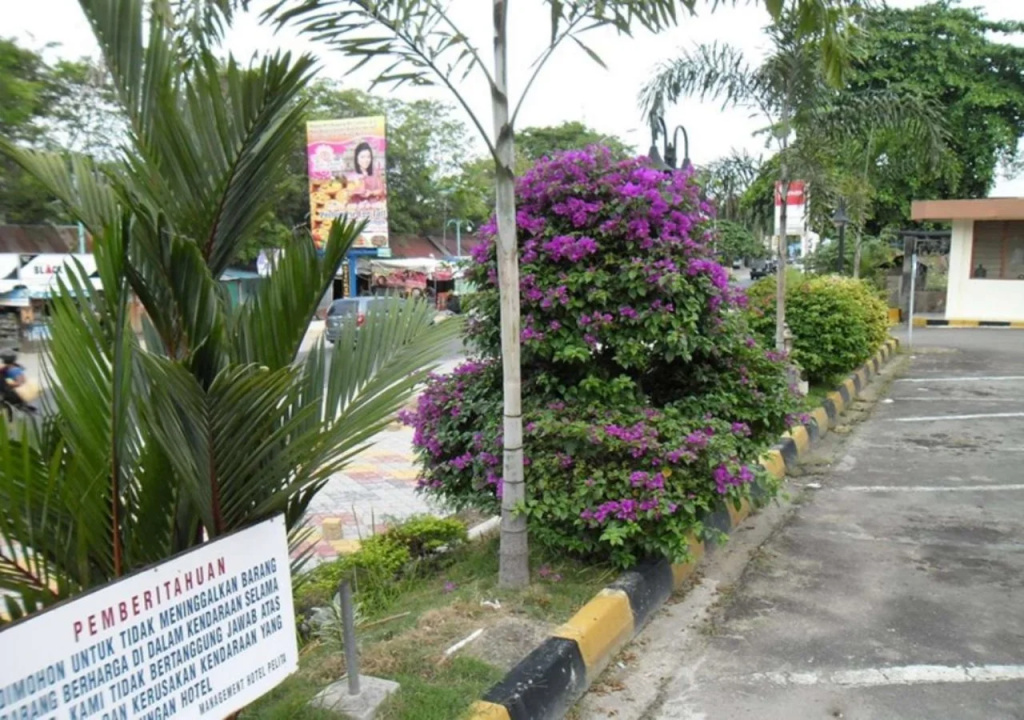 Hotel photo 20