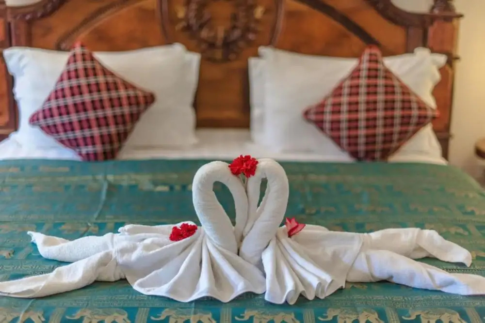 Classic Double room with pool view (twin beds)