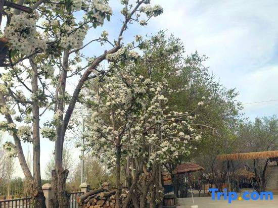 Moli Garden Courtyard Leisure Resort (Dunhuang Night Market Branch)