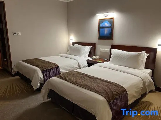 Baolong Hotel Shanghai - Chambres
