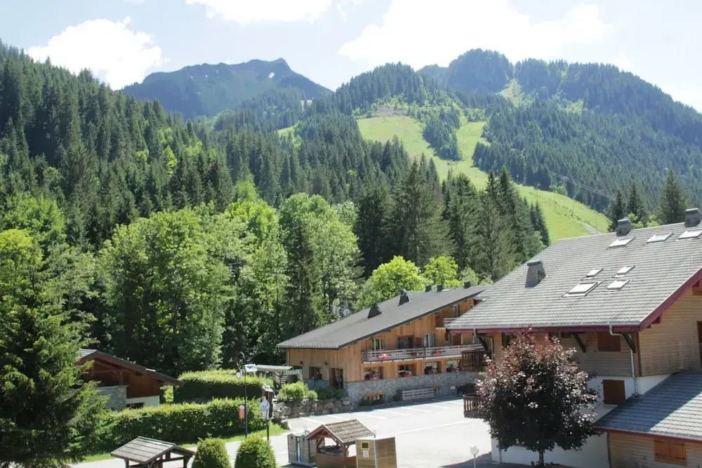 Afficher la photo 8 — Portes Du Soleil Psb204 Telecabine & Mountain 4 pe