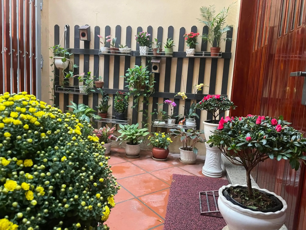 Hotel photo 19