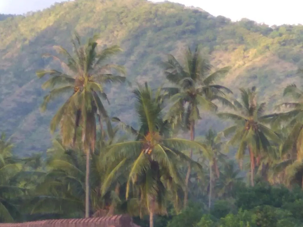 Master Homestay