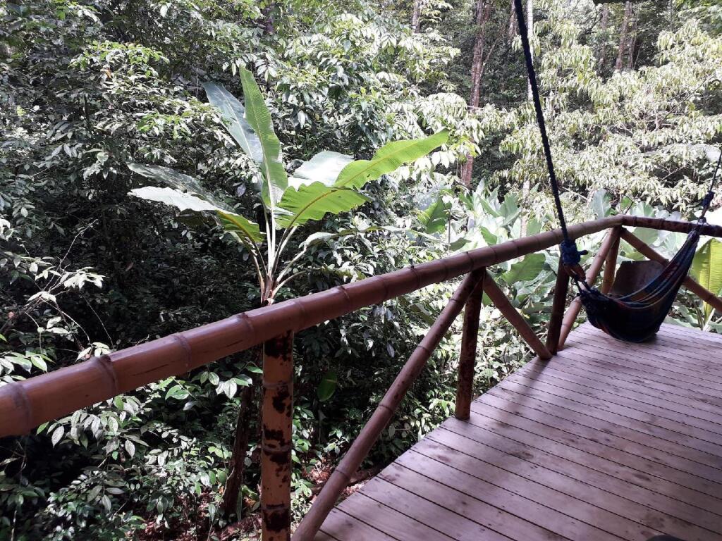 Danta Corcovado Lodge picture