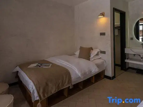Standard Double room with mountain view (twin beds)