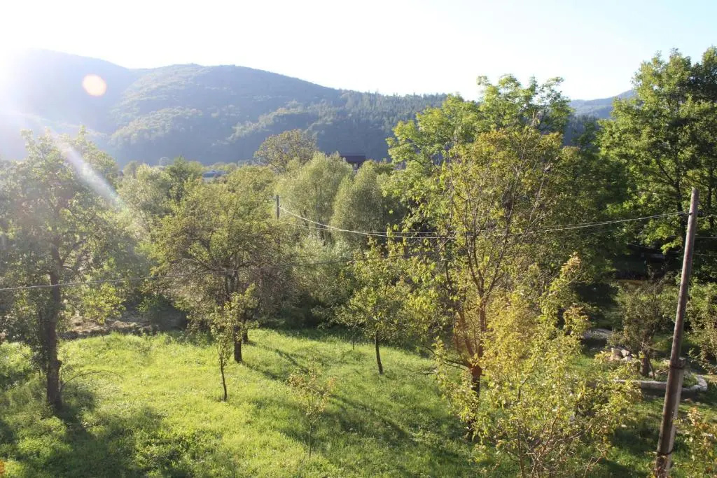 Standard Double room with garden view (full double bed)