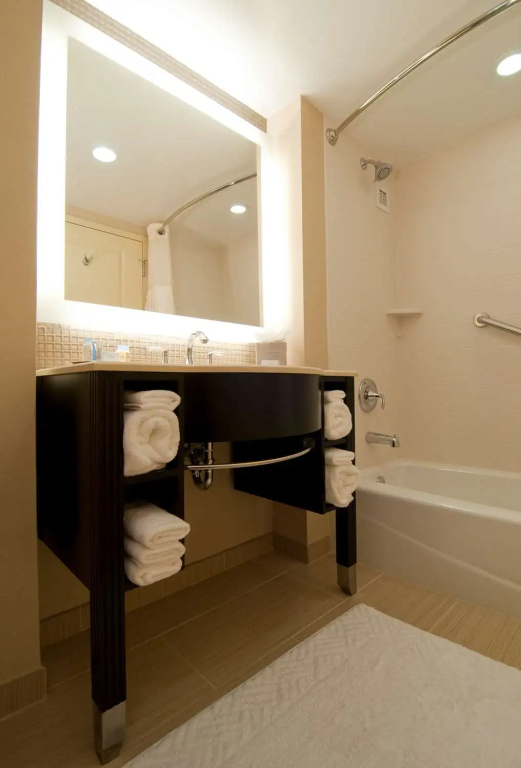 DoubleTree by Hilton Sterling - Dulles Airport - Chambres