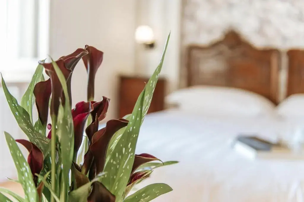 Hotel Aganoor - Chambres