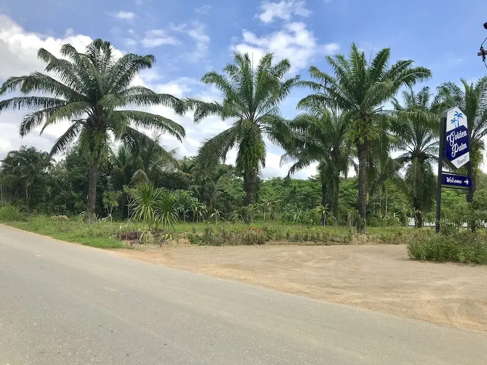Golden Palm Resort