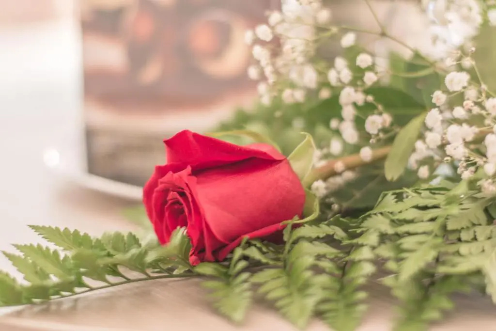 Loule Jardim Hotel - Chambres