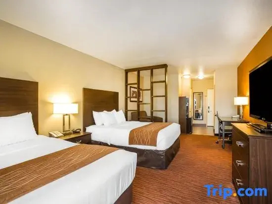 Quadruple Suite