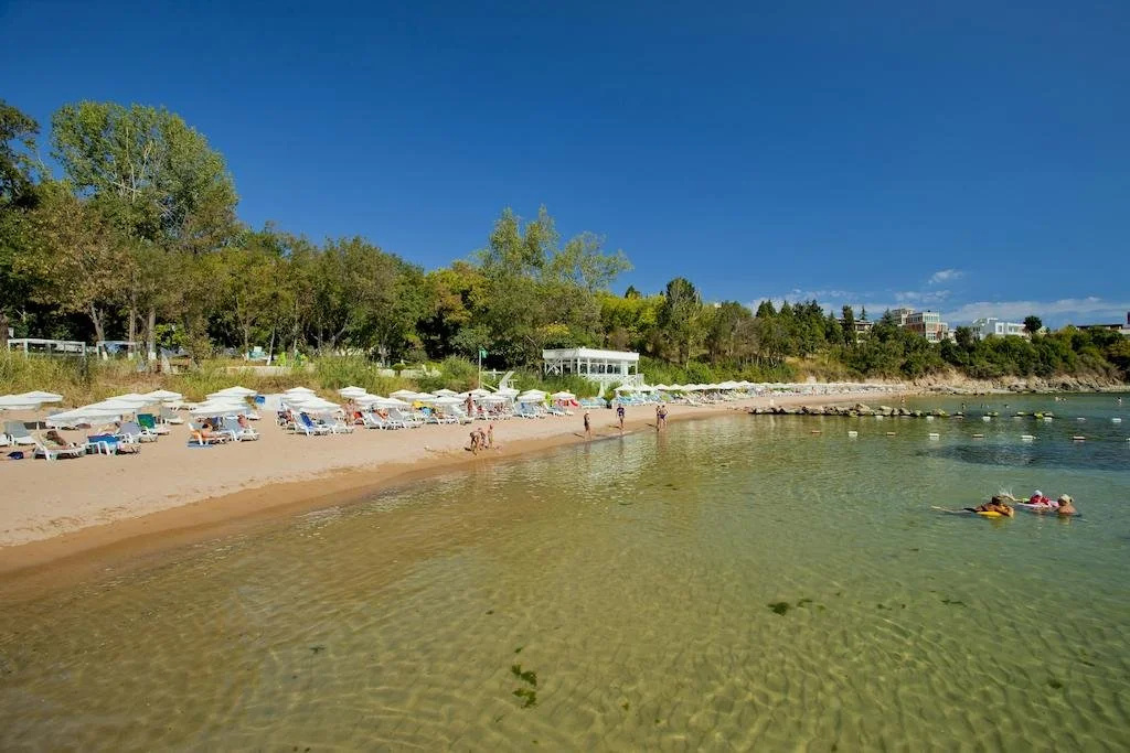 Beach & Waterfront
