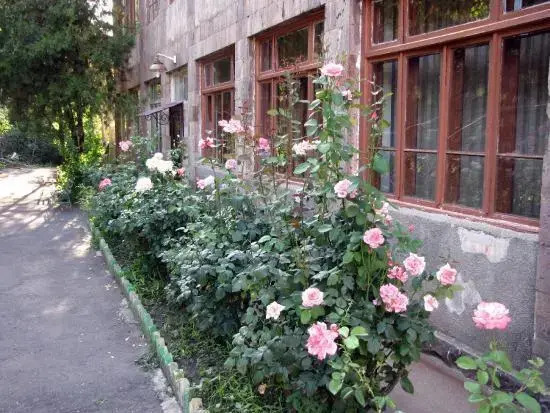 Hotel Lalvar - фото 5