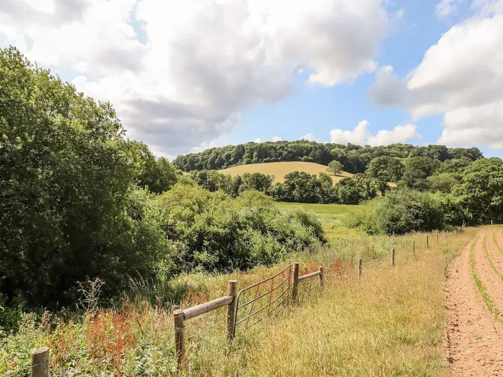 The Cider House - фото 23