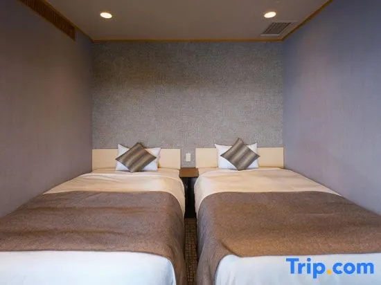 Superior Double room (twin beds)