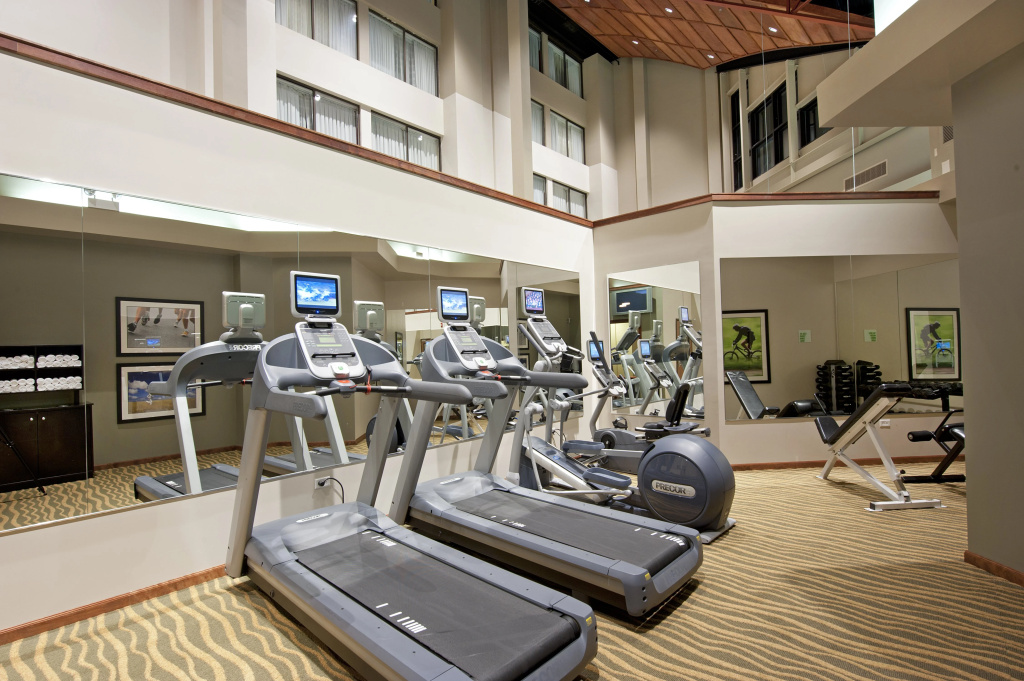 Holiday Inn Chicago West - Itasca - Général