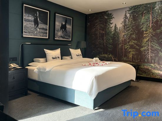 Yema Silk Road Inn - Chambres