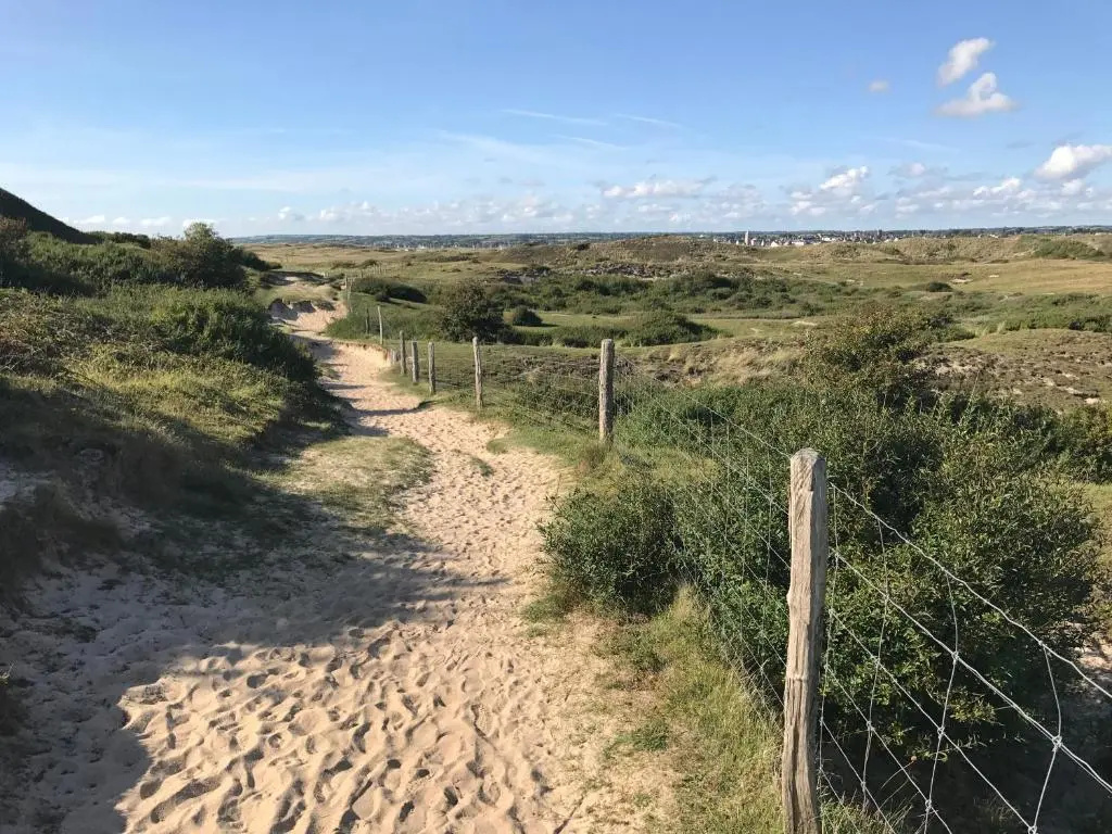 Voir la photo 4 — Le Noyer