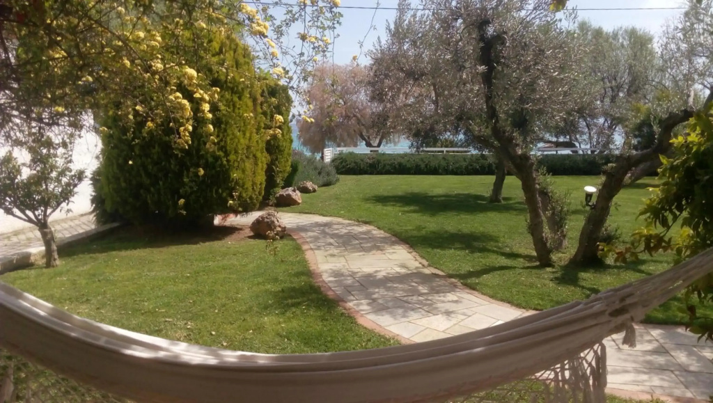 Hotel photo 31