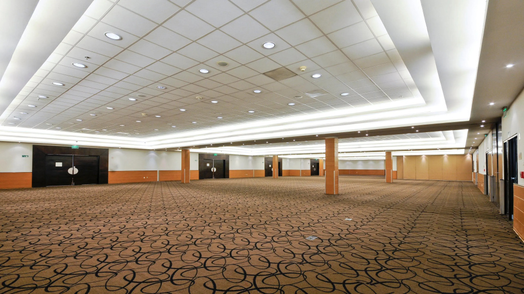 Holiday Inn Express & Suites Irapuato - Général