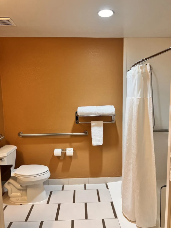 Fairfield Inn & Suites by Marriott Atlanta Suwanee - Chambres