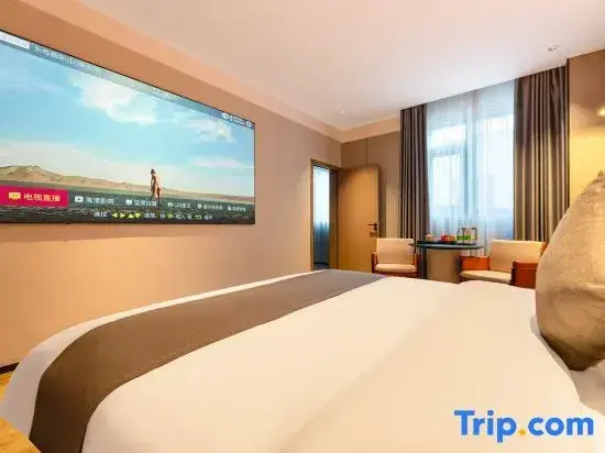 1 Bedroom Suite