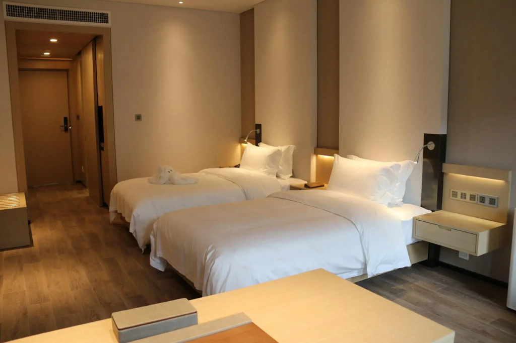 Deluxe Double room twin beds