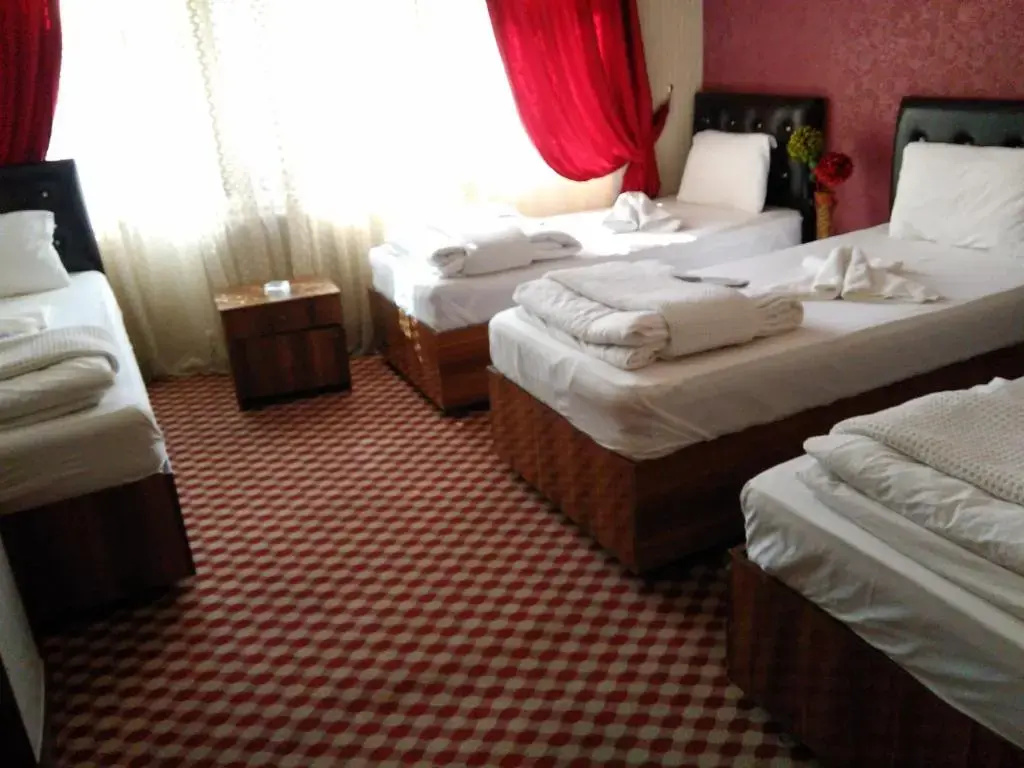 Standard Triple room with city view