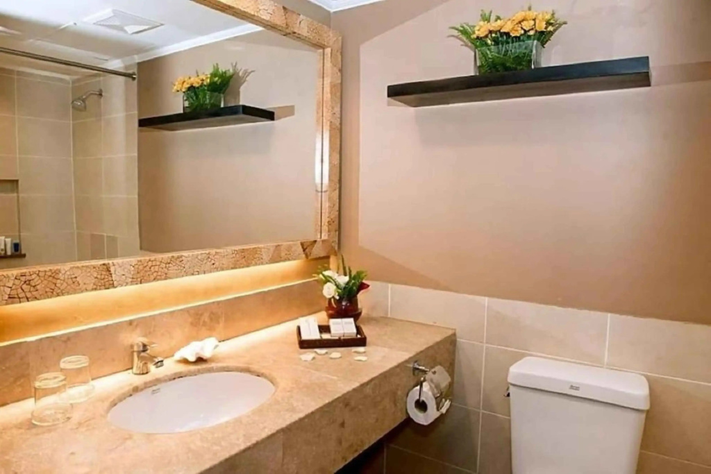 Deluxe Double room (twin beds)