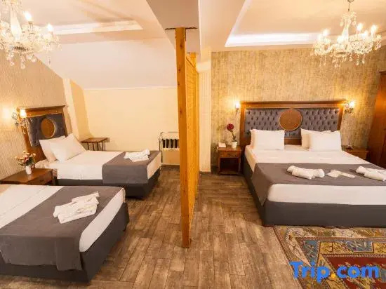 Standard Family Basement room