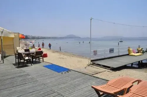 Beach & Waterfront