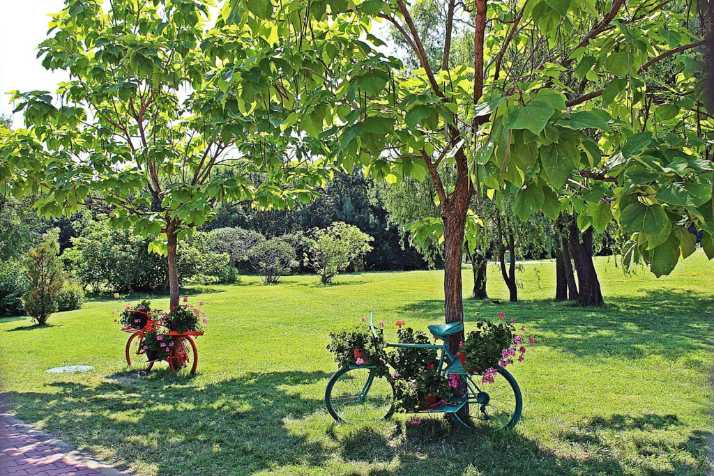 Duni Royal Holiday Village - All Inclusive - Général