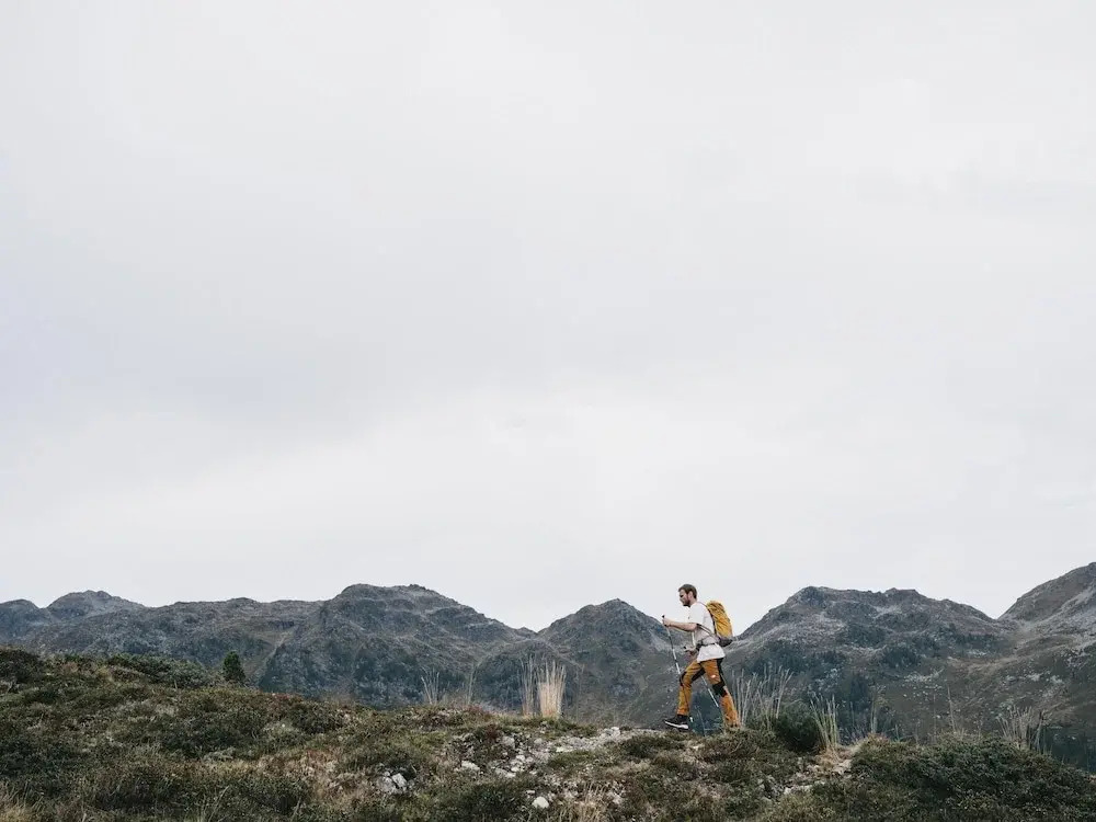 Image 15