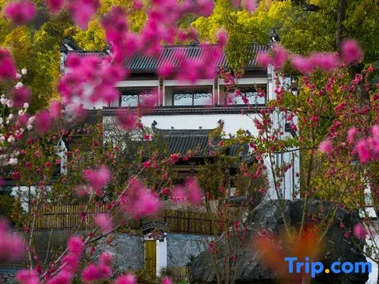 Youtangu Holiday Hotel (Huangshan Huizhou) - фото 6